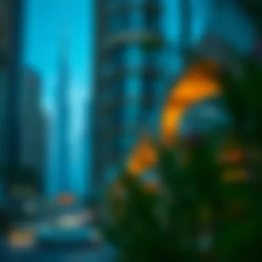 Prime Location of فندق روف داون تاون in the Heart of Dubai Prime location of فندق روف داون تاون in Dubai