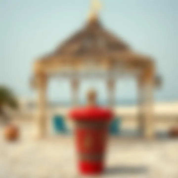 Cultural Richness of Al Hudayriat Island Cultural attractions and installations on Al Hudayriat Island