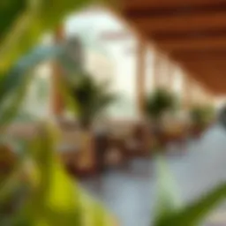 Charming outdoor seating at a JBR café