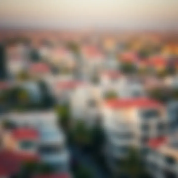 Diverse Property Landscapes in Dubai A panoramic view of a bustling Dubai neighborhood filled with diverse properties