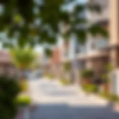 Family-Friendly Neighborhood in Dubai Neighborhood view showcasing family-friendly amenities in Dubai