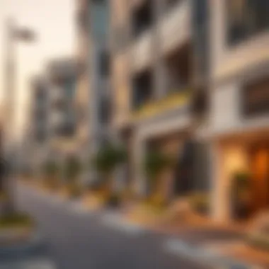 Evaluating the Ideal Neighborhoods in Dubai for Couples Summary