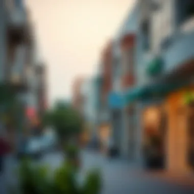 Life in Ajman's Neighborhoods Vibrant neighborhood in Ajman with shops and cafes