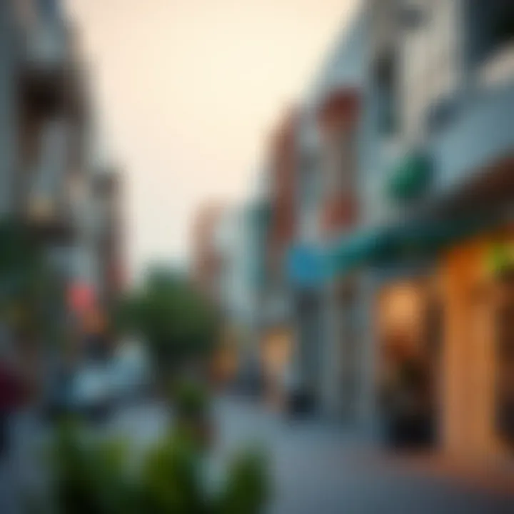 Life in Ajman's Neighborhoods Vibrant neighborhood in Ajman with shops and cafes