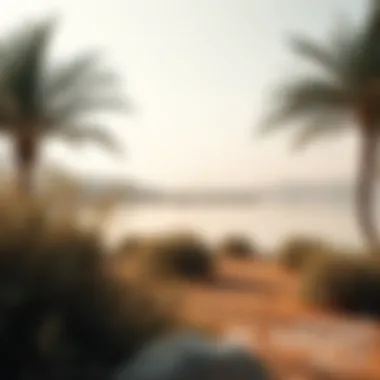 Natural landscape surrounding Al Majaz Lake