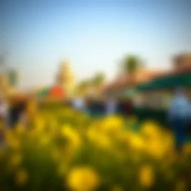 Community Events in Al Shaab Village Vibrant community events held in Al Shaab Village