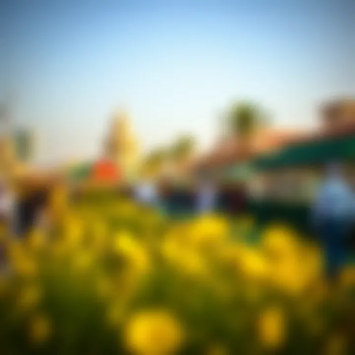 Community Events in Al Shaab Village Vibrant community events held in Al Shaab Village