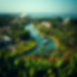 A panoramic view of Alnoor Island showcasing its lush greenery and serene environment