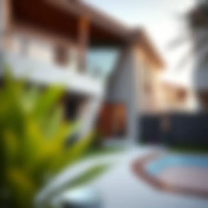 Distinctive Architectural Features of Halwan Homes Architectural details of homes in Halwan suburb highlighting local design