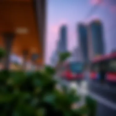 Effective Transportation Links in Halwan Suburb Public transportation hub in Halwan suburb facilitating connectivity