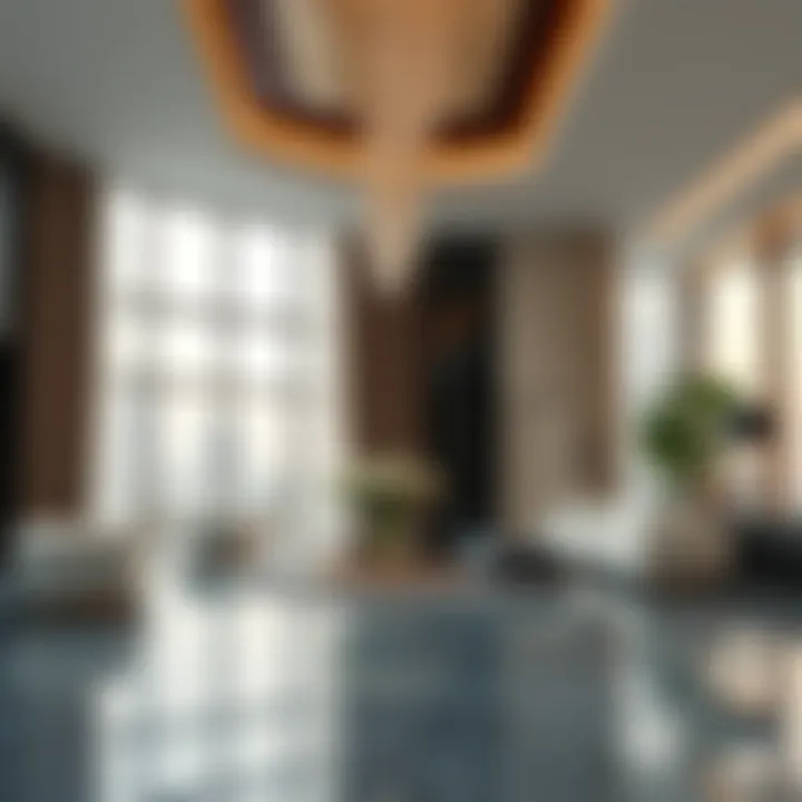 Lavish Interiors of LIV Lux Luxurious interiors of a LIV Lux residence