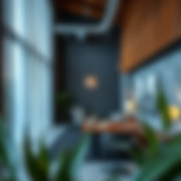 Notable Exploring Monthly Studio Rentals in Discovery Gardens