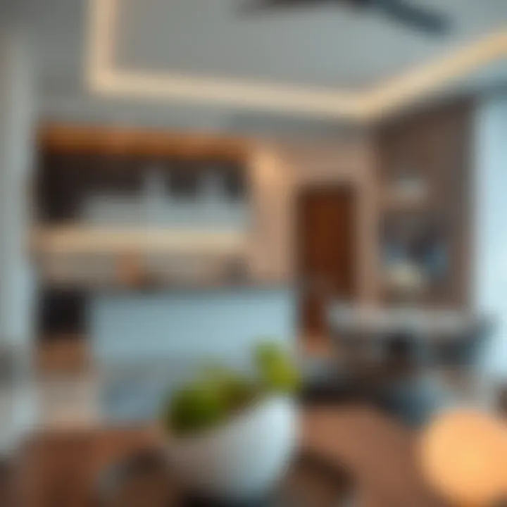 Key Features of Studio Flats A close-up of property features like contemporary kitchen and living area in studio flats.