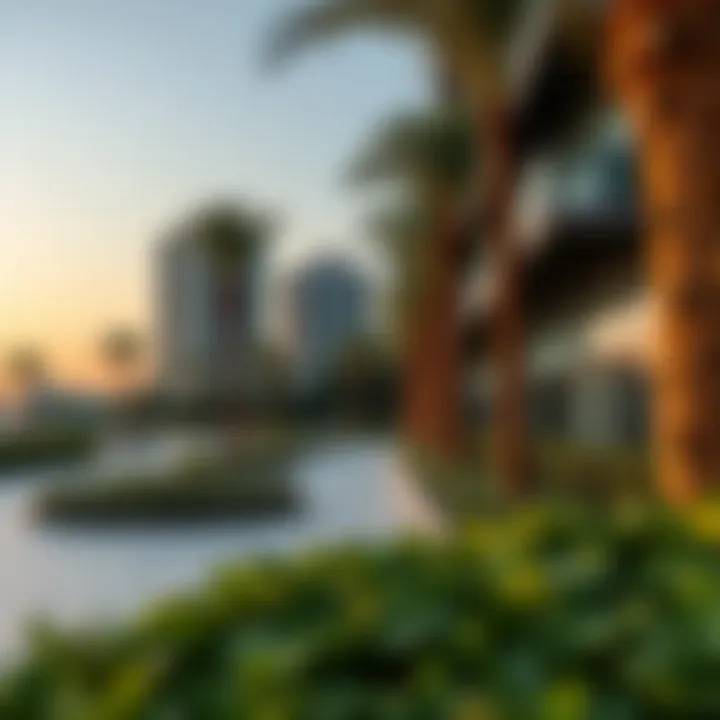 A serene urban park in Dubai representing lifestyle and leisure
