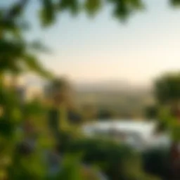 Lush greenery and serene landscapes in مبزرة الخضراء