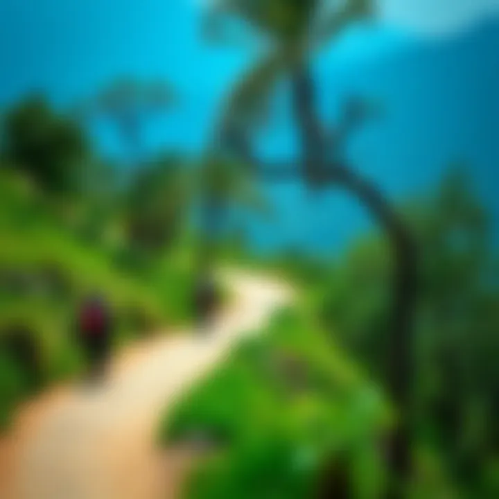 Scenic Hiking Path Trail path winding through lush greenery