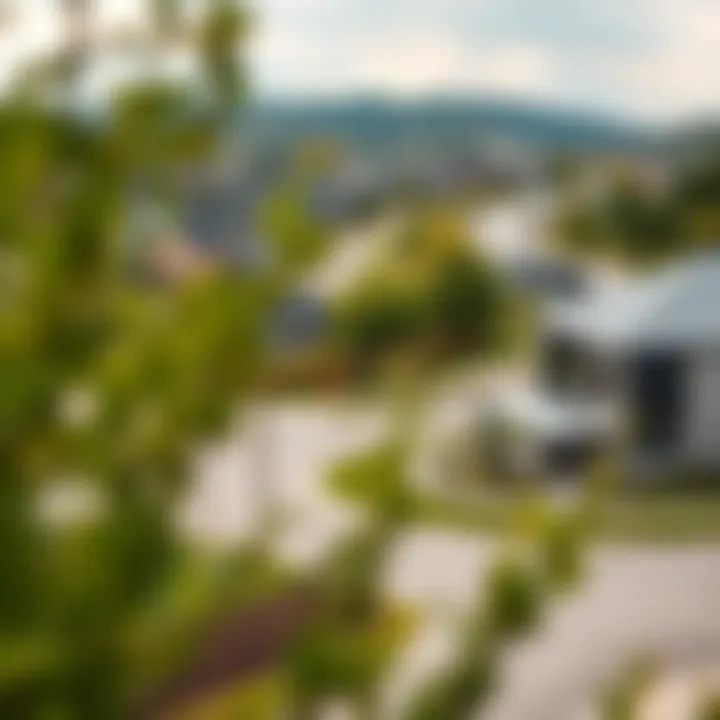 Overview of Mudon Neighborhood and Real Estate Market Overview of Mudon neighborhood highlighting the surrounding real estate