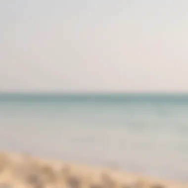Tranquil beach with pristine waters