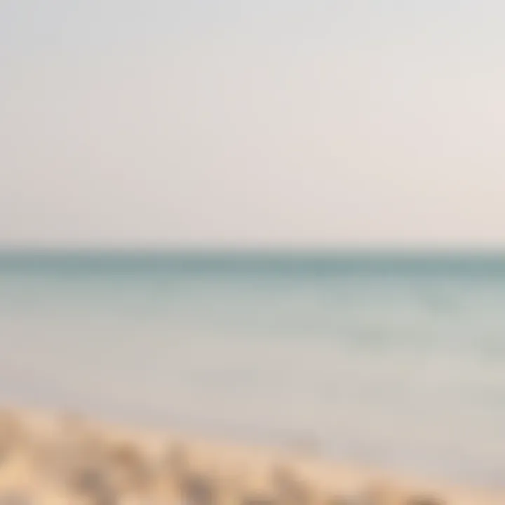Tranquil beach with pristine waters