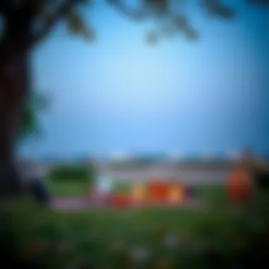Charming picnic setup under a tree