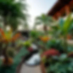 Lush community garden in Dubai showcasing diverse flora