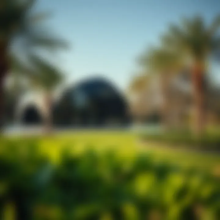 Harmony in Nature: Parks as Urban Retreats A serene park in Dubai that blends natural landscapes with recreational areas