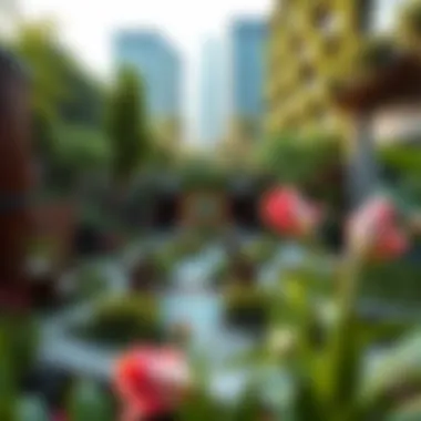 Urban Oasis: A Fusion of Nature and Design A vibrant urban garden showcasing diverse plant species and modern design elements