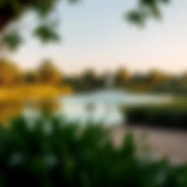 Tranquility by the Lake in The Greens Park A tranquil lake surrounded by greenery in The Greens Park