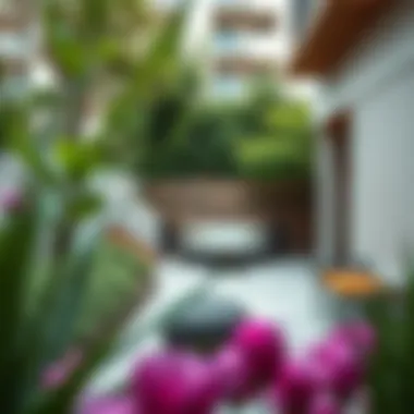 Impact of Garden Design on Urban Real Estate The impact of well-designed gardens on urban real estate value