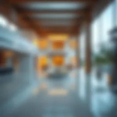 Understanding Residential Properties in Dubai's Dynamic Market Summary